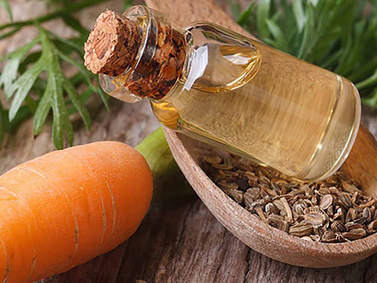 Havuç Yağı Ne İşe Yarar? Faydaları Nelerdir?