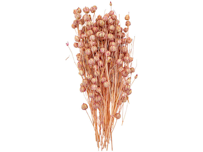 Açık Pembe Keten Otu Kuru Çiçek Demeti 10 GR - Kimyacınız