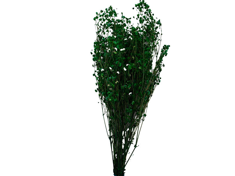 Açık Yeşil Şoklanmış Cipso - Kuru Çiçek - 1