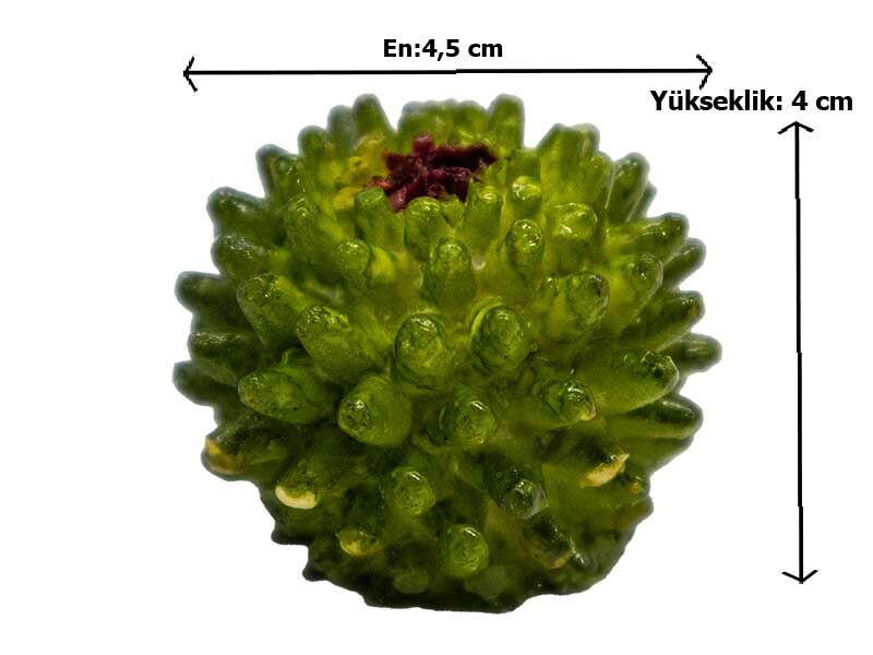 Büyük Yuvarlak Kaktüs Silikon Mum Kalıbı M-215 - 8