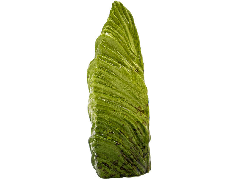 Eliptik Yaprak Silikon Mum Kalıbı M-170 - 4