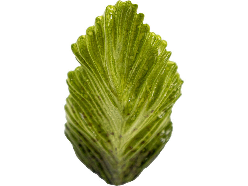 Eliptik Yaprak Silikon Mum Kalıbı M-170 - 5