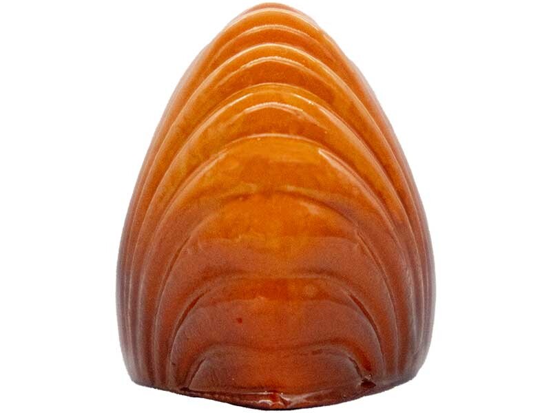 İstiridye Silikon Mum Kalıbı M-33 - 5