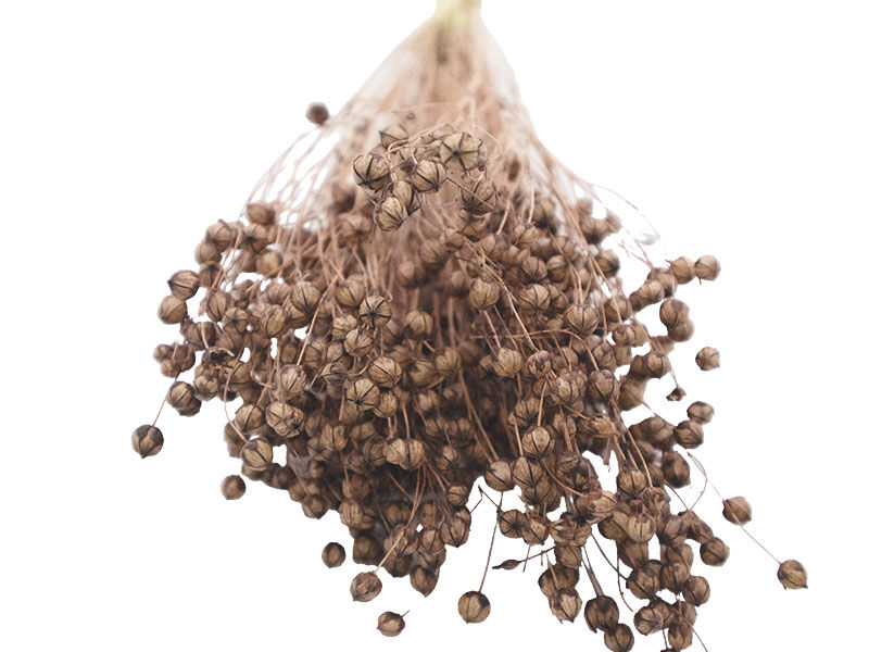 Kahverengi Keten Otu Kuru Çiçek Demeti 10 GR - 2