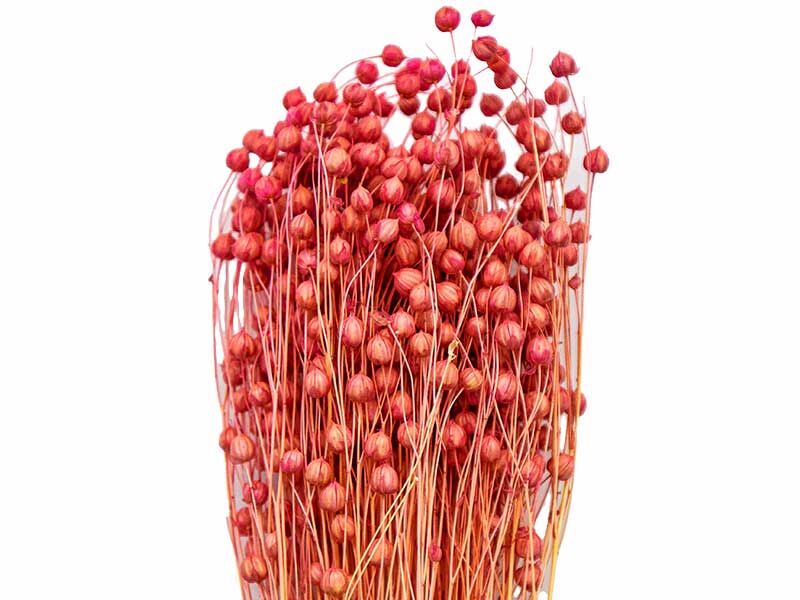 Kırmızı Keten Otu Kuru Çiçek Demeti 10 GR - 1