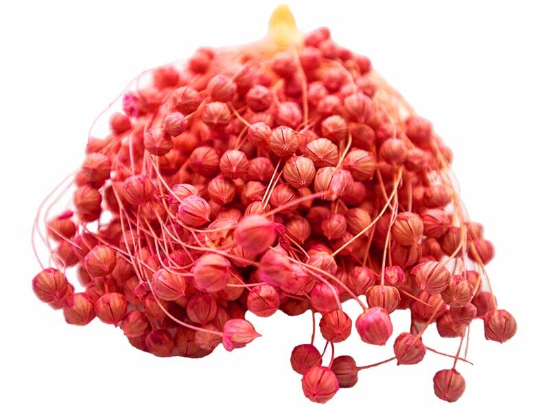 Kırmızı Keten Otu Kuru Çiçek Demeti 10 GR - 2