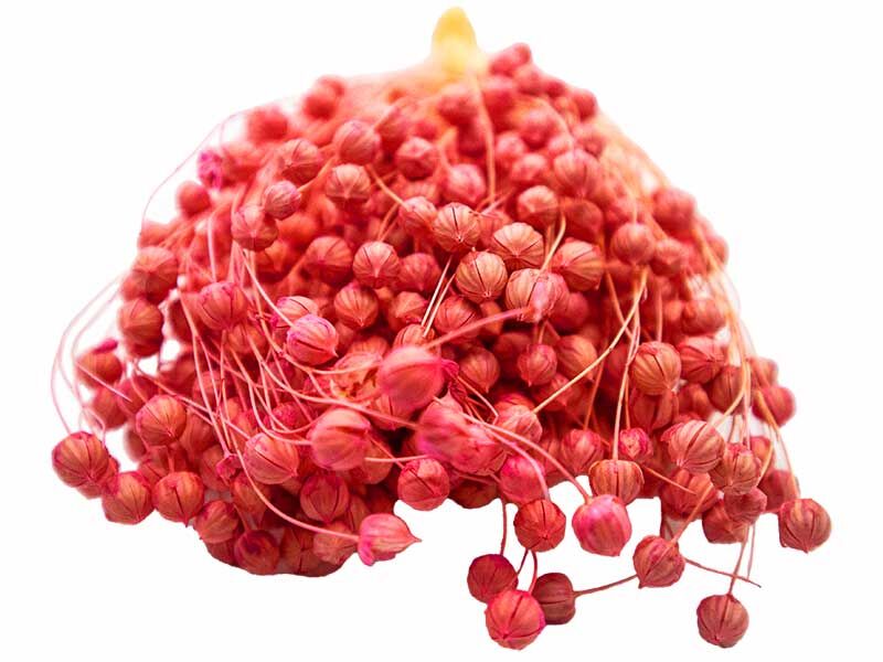 Kırmızı Keten Otu Kuru Çiçek Demeti 10 GR - 2