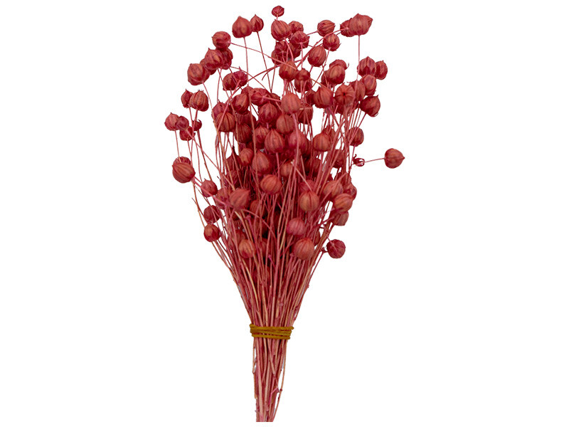Kırmızı Keten Otu Kuru Çiçek Demeti 10 GR - Kimyacınız