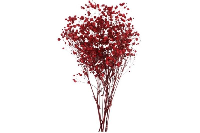 Kimyacınız - Kuru Çiçek Kırmızı - Cipso