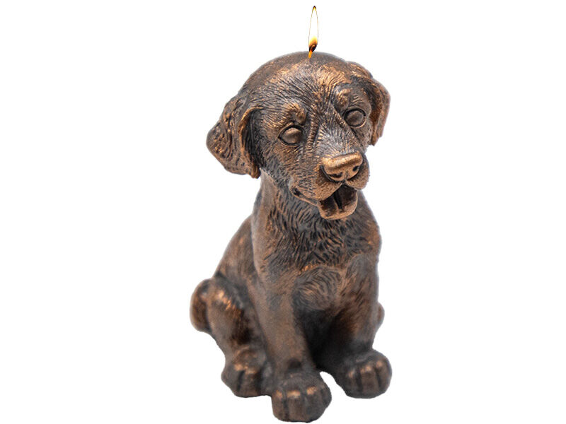 Köpek Silikon Mum Kalıbı M-240 - 10