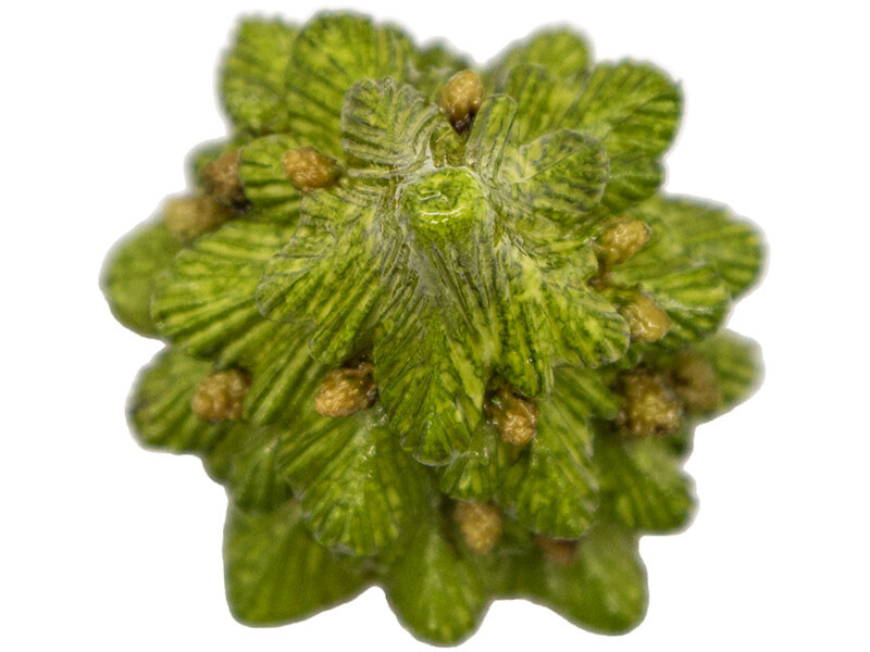 Kozalaklı Çam Ağacı Silikon Mum Kalıbı M-80 - 8