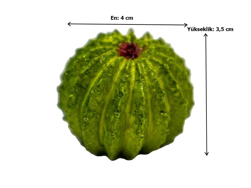 Küçük Yuvarlak Kaktüs Silikon Mum Kalıbı M-211 - 5