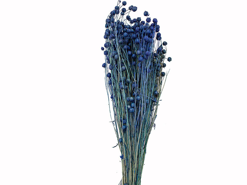 Mavi Keten Otu Kuru Çiçek Demeti - 1