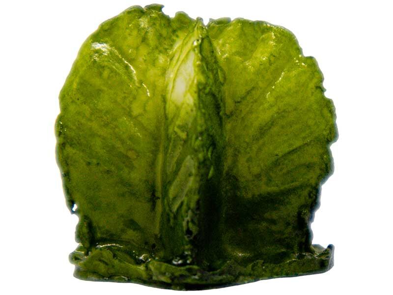 Mini Kaktüs Silikon Mum Kalıbı M-217 - 2