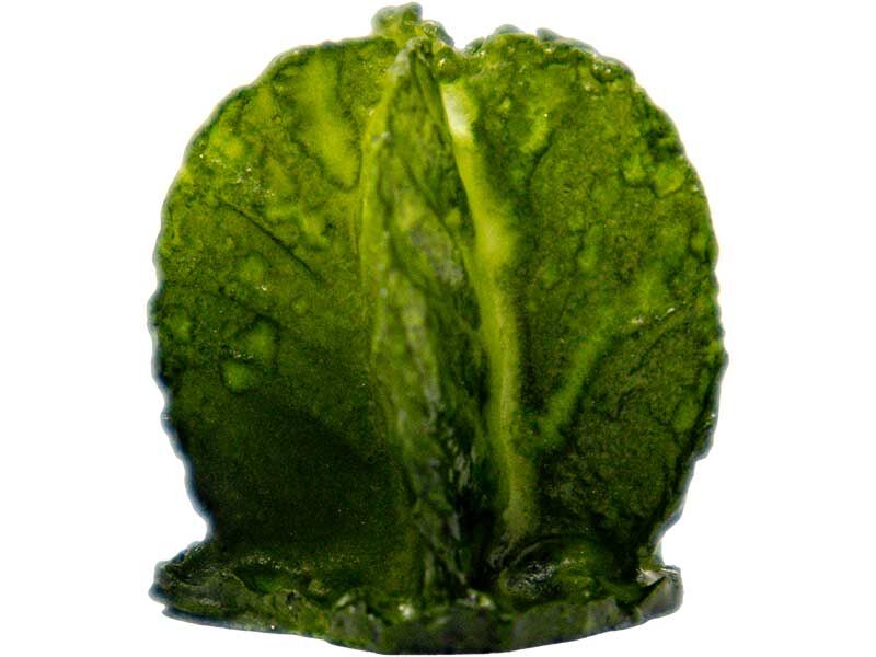 Mini Kaktüs Silikon Mum Kalıbı M-217 - 3