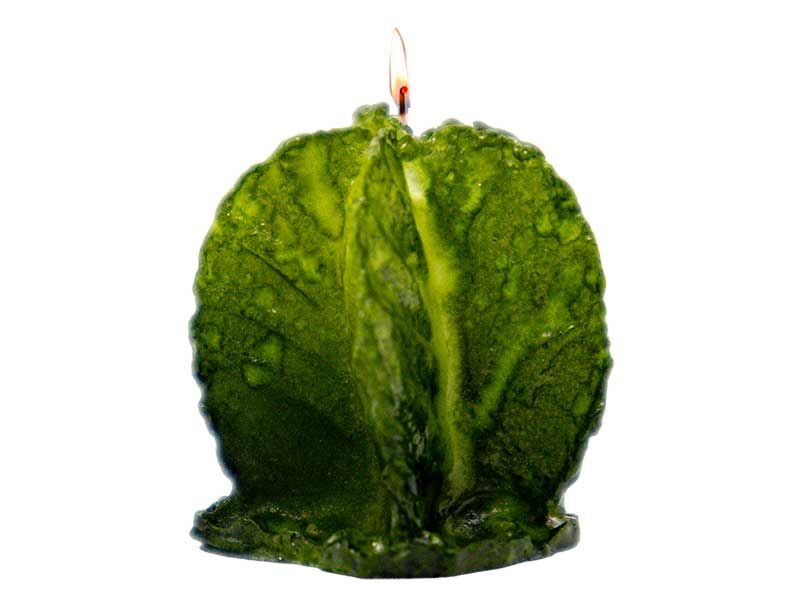 Mini Kaktüs Silikon Mum Kalıbı M-217 - 6