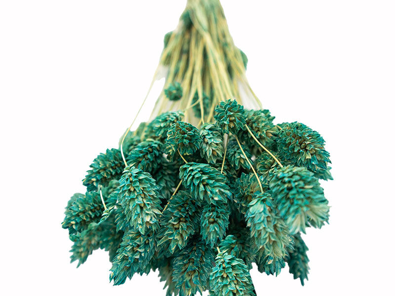 Mint Yeşili Kuş Otu Kuru Çiçek Demeti - 2