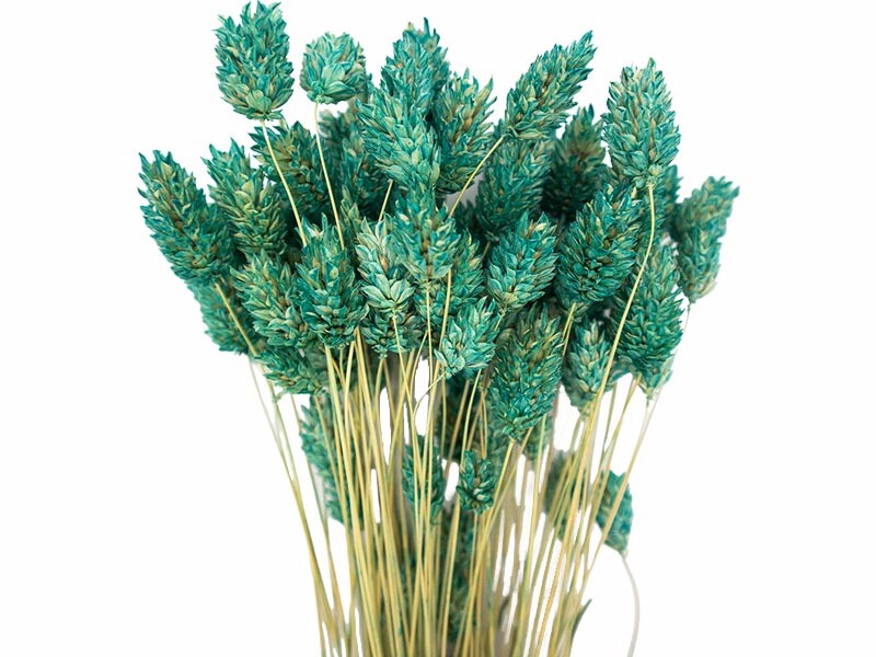 Mint Yeşili Kuş Otu Kuru Çiçek Demeti - Kimyacınız