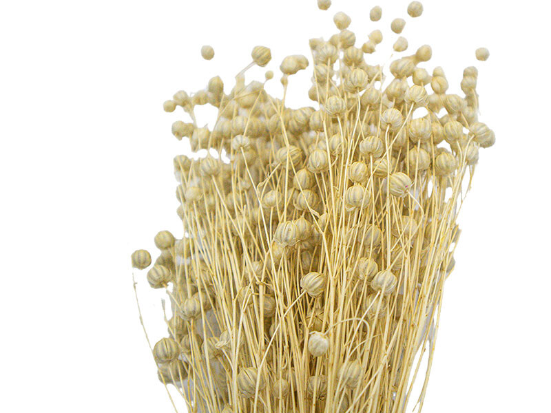 Naturel Keten Otu Kuru Çiçek Demeti 10 GR - Kimyacınız