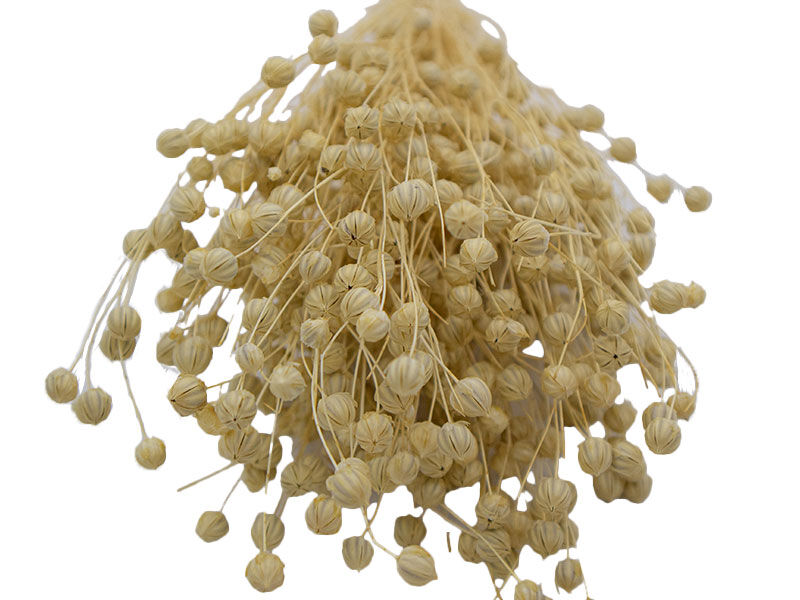 Naturel Keten Otu Kuru Çiçek Demeti 10 GR - 2