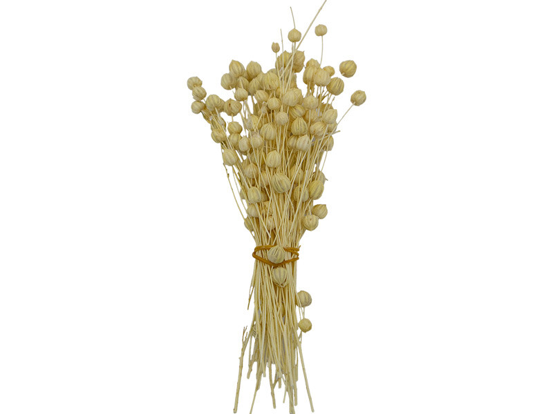 Naturel Keten Otu Kuru Çiçek Demeti 10 GR - Kimyacınız
