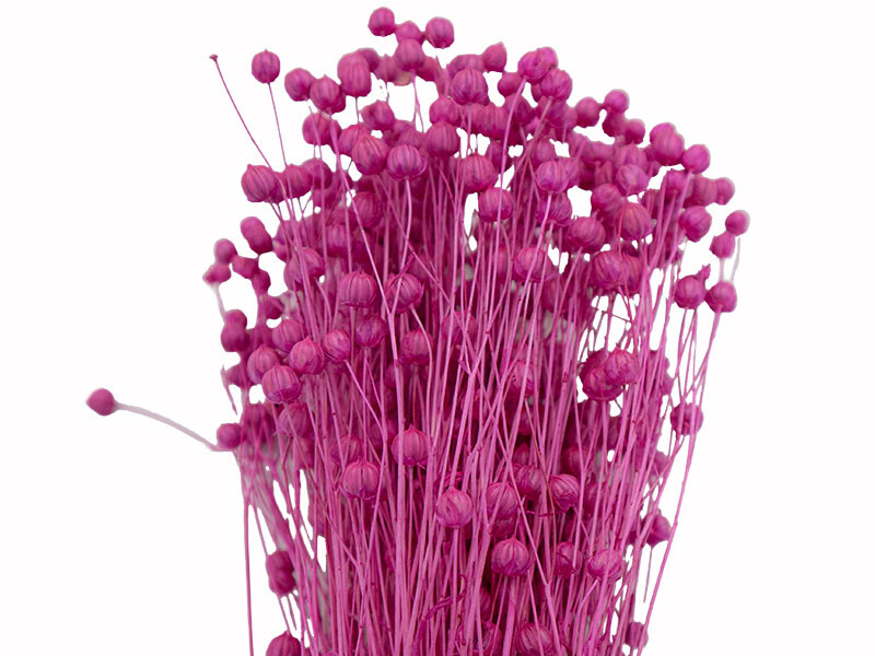 Pembe Keten Otu Kuru Çiçek Demeti 10 GR - Kimyacınız