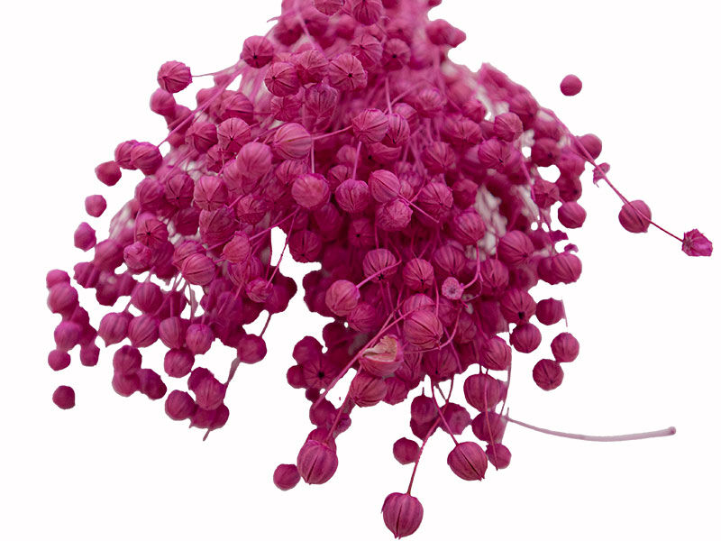 Pembe Keten Otu Kuru Çiçek Demeti 10 GR - 2