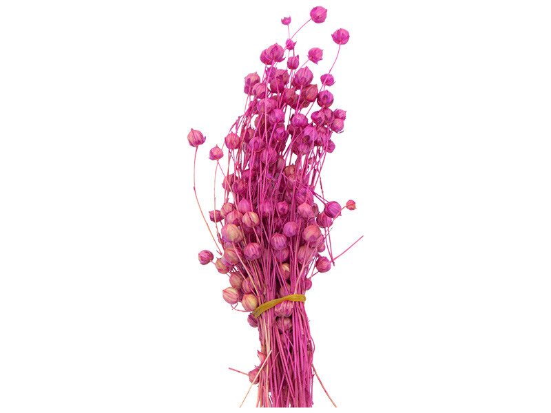 Pembe Keten Otu Kuru Çiçek Demeti 10 GR - Kimyacınız