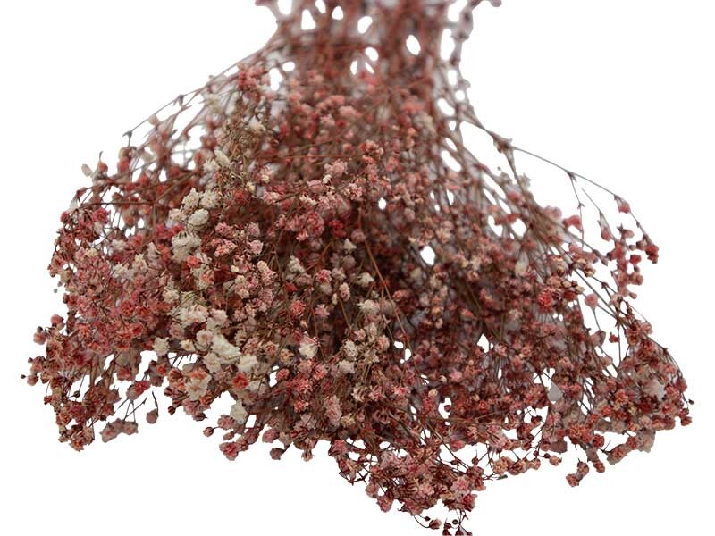 Pembe Şoklanmış Cipso - Kuru Çiçek 10 GR - 2