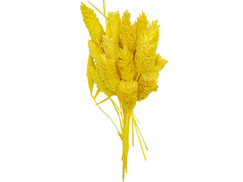 Sarı Kuş Otu Kuru Çiçek Demeti 10 GR - Kimyacınız