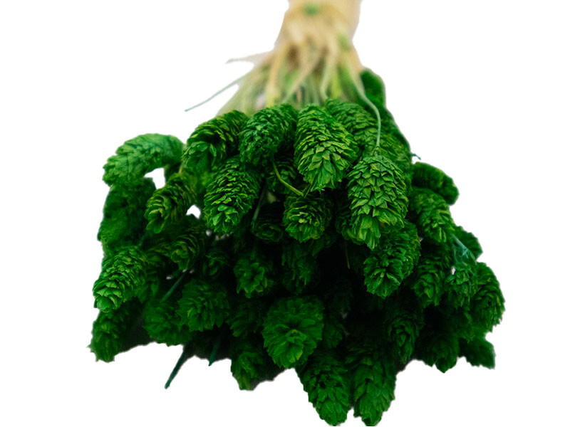 Yeşil Kuş Otu Kuru Çiçek Demeti 10 GR - 2