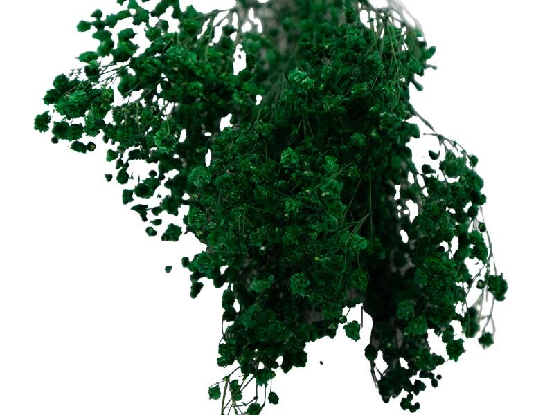 Yeşil Şoklanmış Cipso - Kuru Çiçek - 2