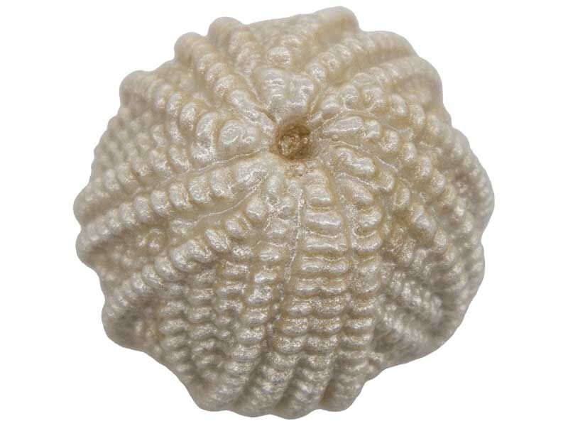 Yumak Silikon Mum Kalıbı M-44 - 5